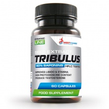  WestPharm Tribulus 500  90 