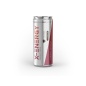  X-Energy 500 