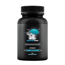   Mentor Mind  400  120 